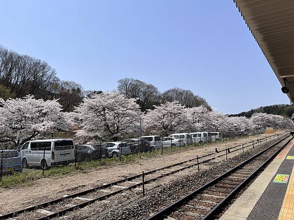 【2024 東北賞櫻+東京七天六夜自由行】Day 4 福島三