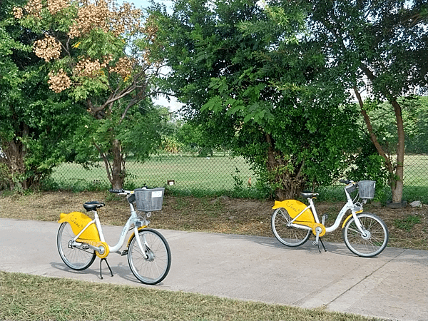 竹北頭前溪河濱公園~拍照練習