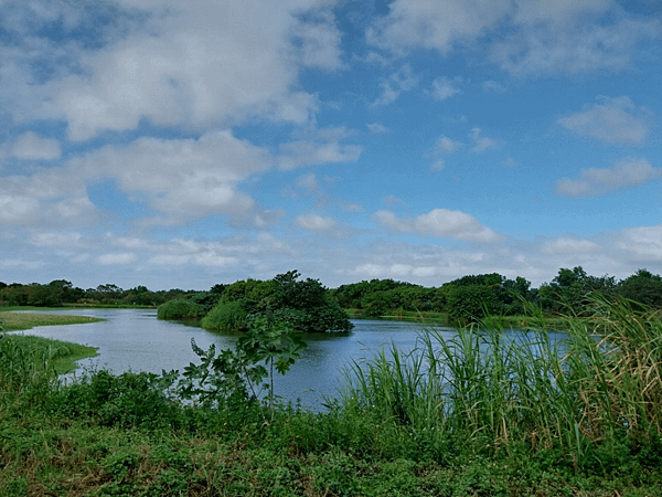 竹北頭前溪河濱公園~拍照練習