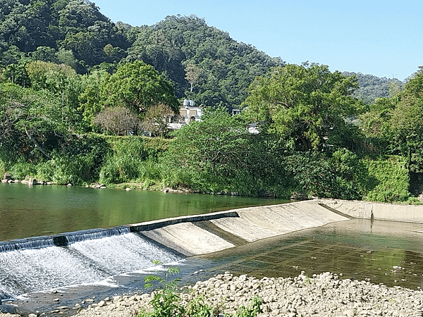 關西南山大橋仙草田_東安古橋_拍照練習