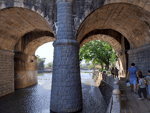 關西南山大橋仙草田_東安古橋_拍照練習