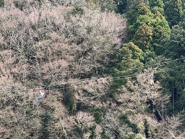 2024春靜岡也有富士山(2) &lt;三島篇&gt;SKYWALK/す