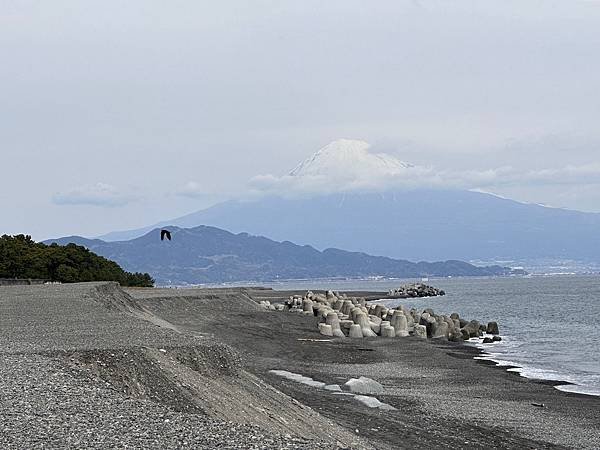 2024春靜岡也有富士山 (4) &lt;清水篇&gt;新日本三景三保