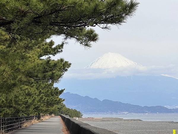 2024春靜岡也有富士山 (4) &lt;清水篇&gt;新日本三景三保