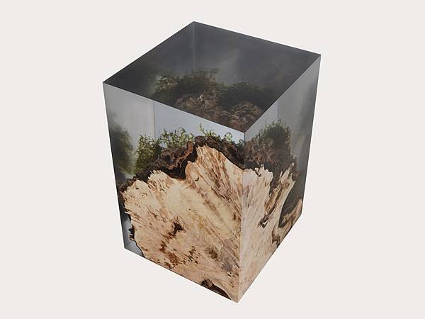 alcarol Poplar Stump stool_1