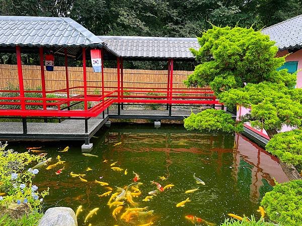 花蓮壽豐張家韓園（韓服體驗、親近與餵食小動物、九宮格火鍋與下