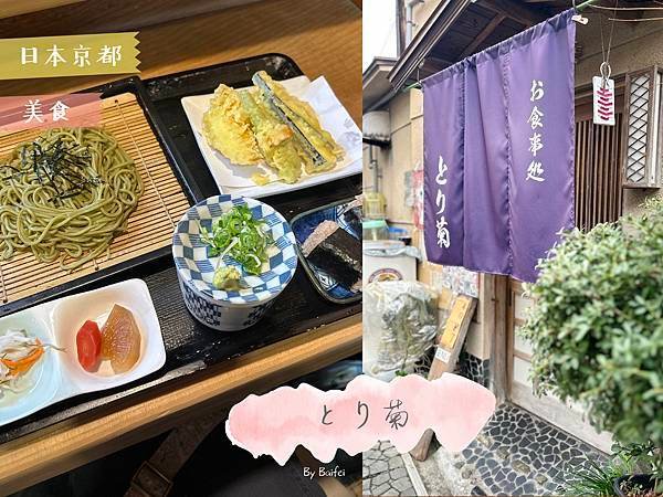 日本_とり菊_首圖