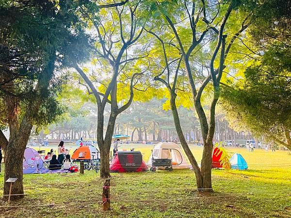 ★桃園★國立中央大學＊免費的親子景點好去處，優美的園區、大草