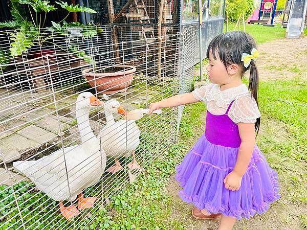 ★彰化親子景點推薦★免門票、免費停車『埔茂花市』超佛心親子景