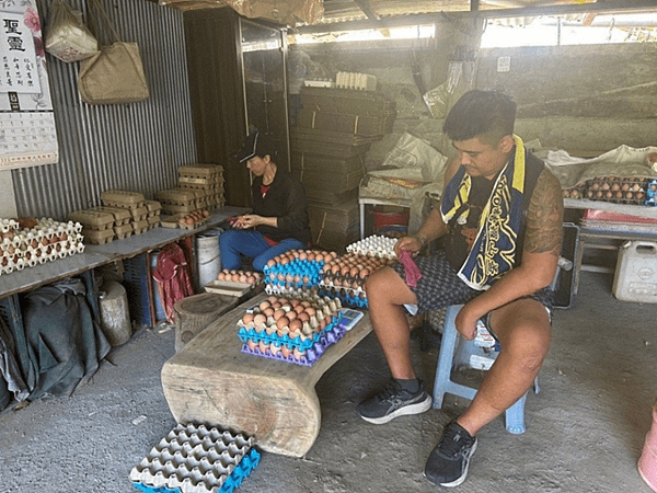 培力偏鄉小農自然農法跨越食品檢驗高牆    芥菜種會攜手企業