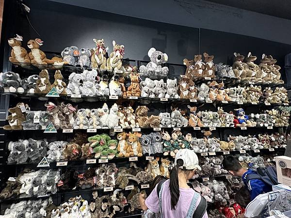 【🇦🇺澳洲-布里斯本】布里斯本市區一日遊(South Ban