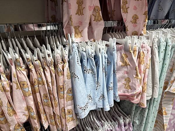 【🇦🇺澳洲-布里斯本】布里斯本市區一日遊(The Panca