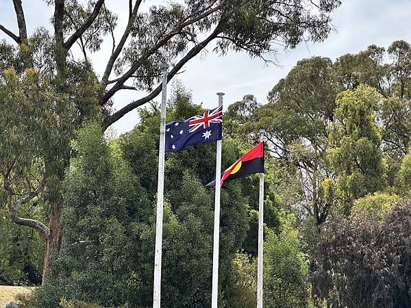 【🇦🇺澳洲-墨爾本】大眾運輸自由行！前往疏芬山淘金小鎮一圓發