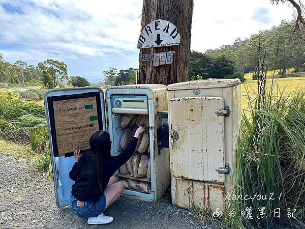【🇦🇺澳洲-塔斯馬尼亞】布魯尼島一日遊