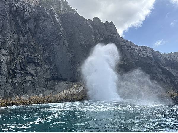 【🇦🇺澳洲-塔斯馬尼亞】布魯尼島一日遊