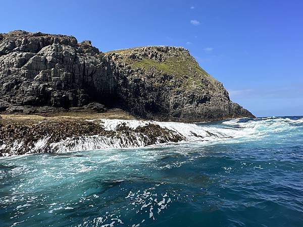 【🇦🇺澳洲-塔斯馬尼亞】布魯尼島一日遊