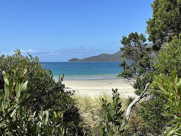 【🇦🇺澳洲-塔斯馬尼亞】布魯尼島一日遊