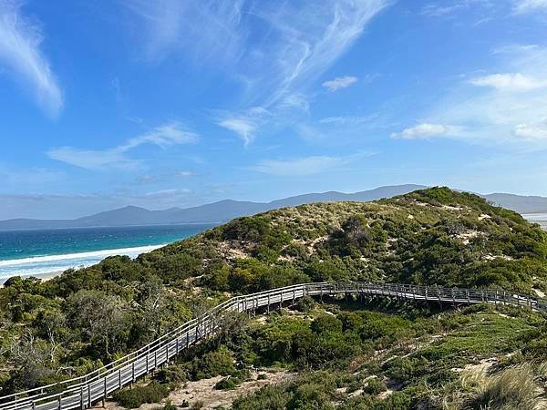 【🇦🇺澳洲-塔斯馬尼亞】布魯尼島一日遊