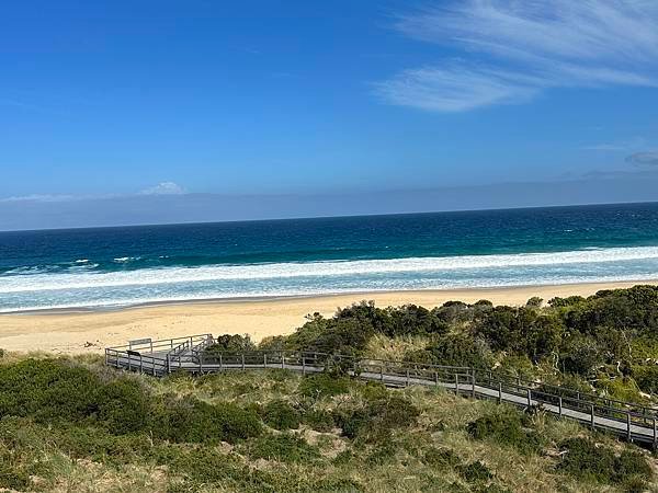 【🇦🇺澳洲-塔斯馬尼亞】布魯尼島一日遊