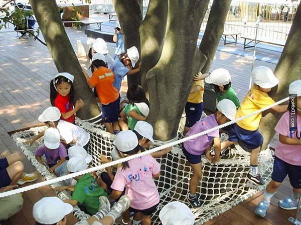 樹屋幼兒園/咖啡屋/當前咖啡店每4家只有1家能存活/50年來