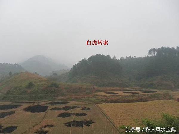 46r8000302s858q145po