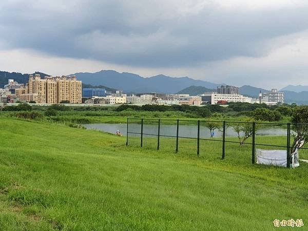 「水牛精神」水牛伯沒架子髒兮兮挖水溝 網友感動淚推/「雖敗猶