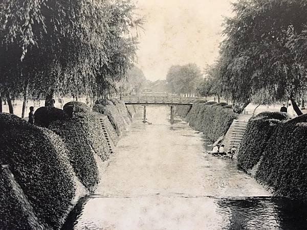 台中綠川百年櫻橋/全台首條「綠空鐵路花園廊道」/「櫻橋」興建