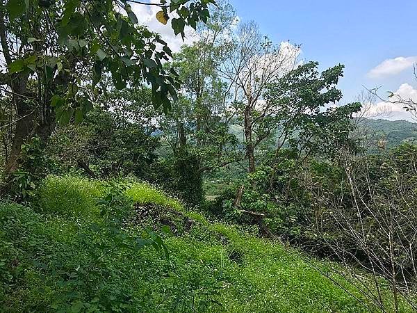 寒溪神社遺跡往第三平台階梯