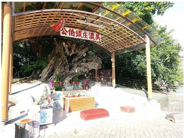 封土為社土地公/高樹榕樘福德祠1738年六堆客家風水型墓塚式