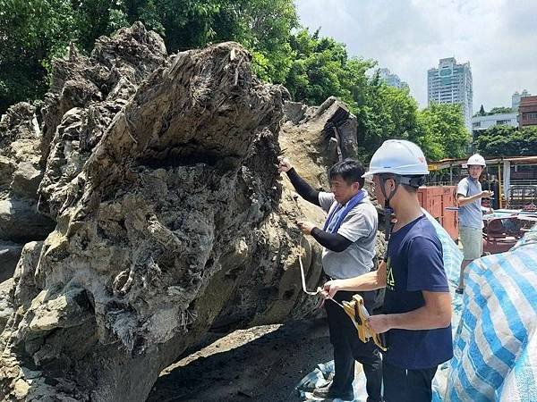 康熙臺北湖/1684~1722「台灣地里圖」《台灣地裡圖》約