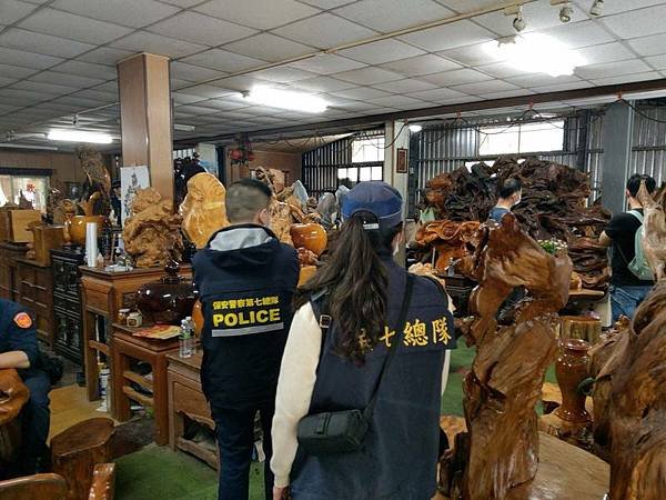 山老鼠+盜伐3塊總重近2百公斤台灣檜木+近二噸台灣檜木，除形