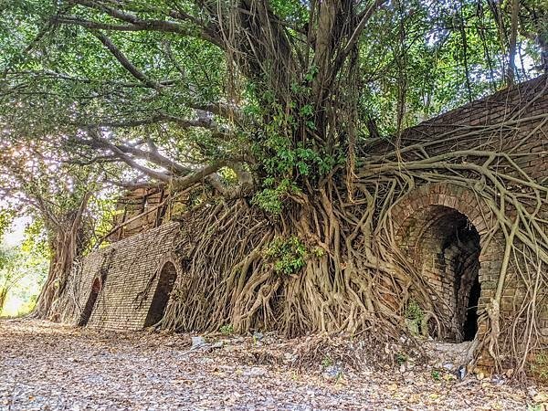 高雄大寮共益磚窯廠遺址八卦窯&amp;瑞榮磚窯廠遺址目仔窯-歷史建築