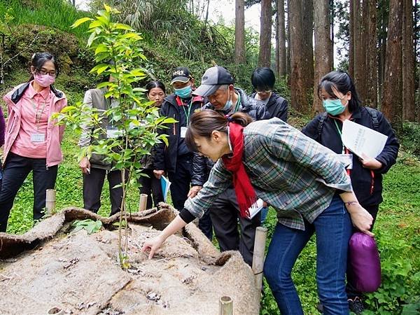 樹木醫生詹鳳春在中壢鄉村長大，卻是到日本留學-種樹、養樹、愛