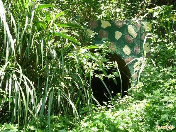 鳳崎步道-「鳳崎晚霞」即列入台灣淡新八景之一/當地人在竹北鳳