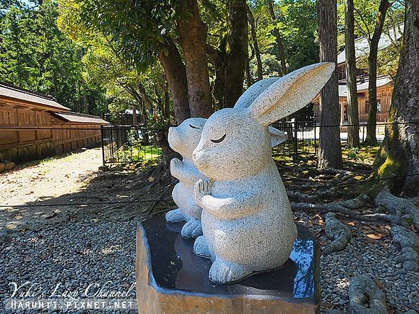 出雲大社「結良緣」聞名：求良緣必訪結緣神社-神社境內的兔子雕
