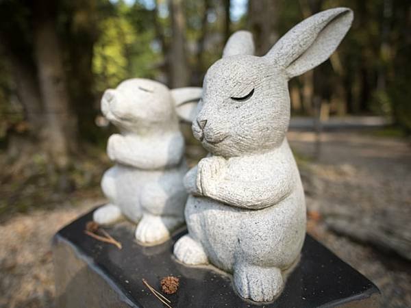 出雲大社「結良緣」聞名：求良緣必訪結緣神社-神社境內的兔子雕