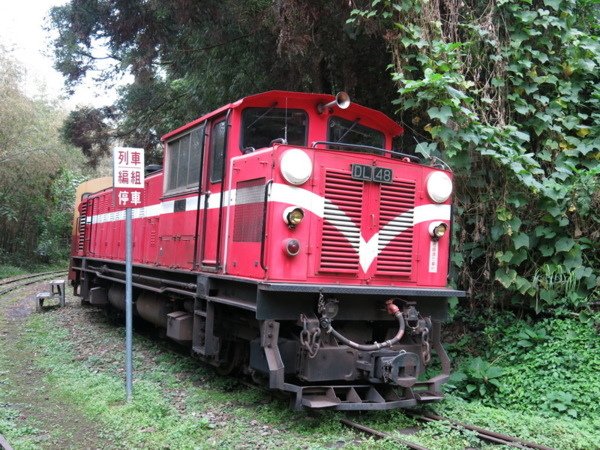 多林車站-全台最小車站/嘉義縣阿里山鄉，為林務局阿里山林業鐵