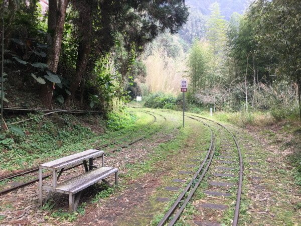 多林車站-全台最小車站/嘉義縣阿里山鄉，為林務局阿里山林業鐵