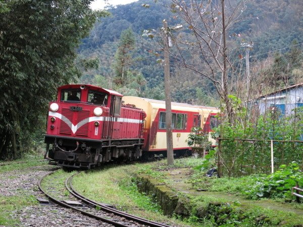 多林車站-全台最小車站/嘉義縣阿里山鄉，為林務局阿里山林業鐵