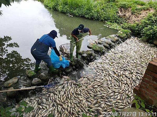 竹縣茄苳溪發源自湖口台地的新竹工業區-不肖業者大雨或假日的深