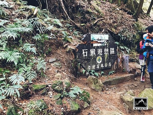 鐵道最高點阿里山塔山海拔2346米 +眠月線的塔山站，在塔山