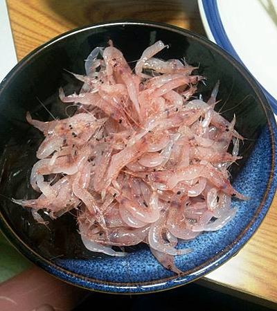 桜蝦・生