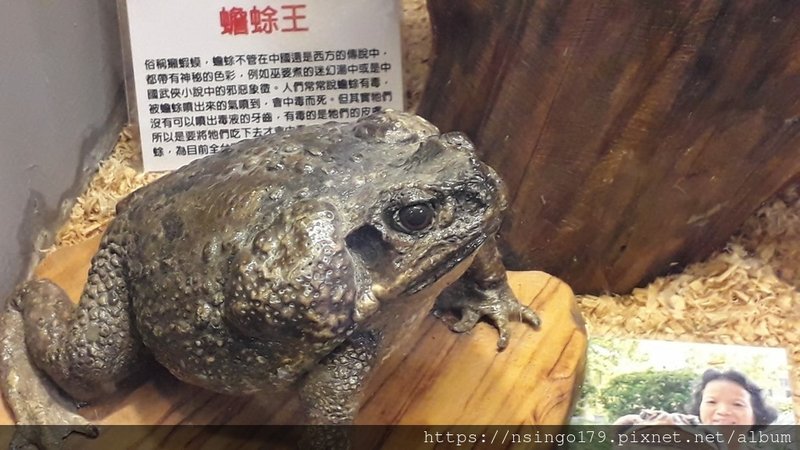 20190630_170825 (Copy).jpg