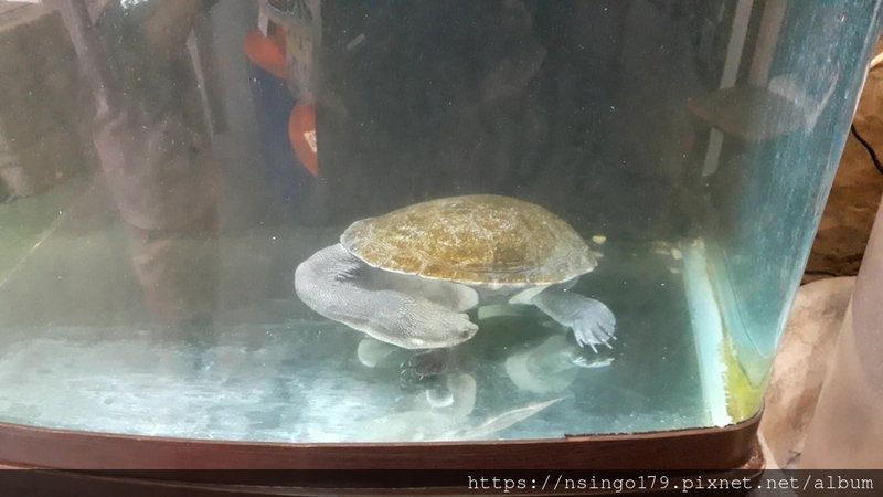 20190630_170329 05.jpg