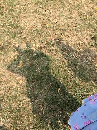 IMG_9829.JPG