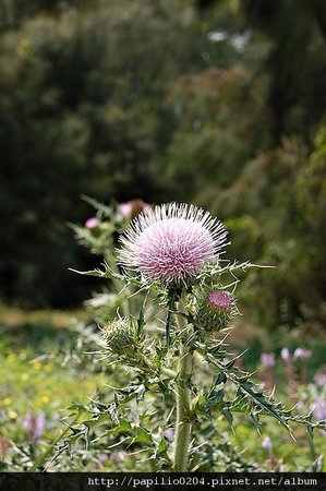 DSC_0688.JPG