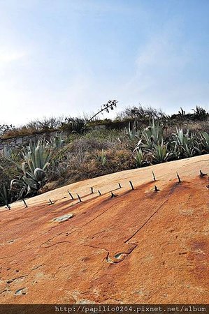 嚴禁田浦海邊周圍開打石塊碑
