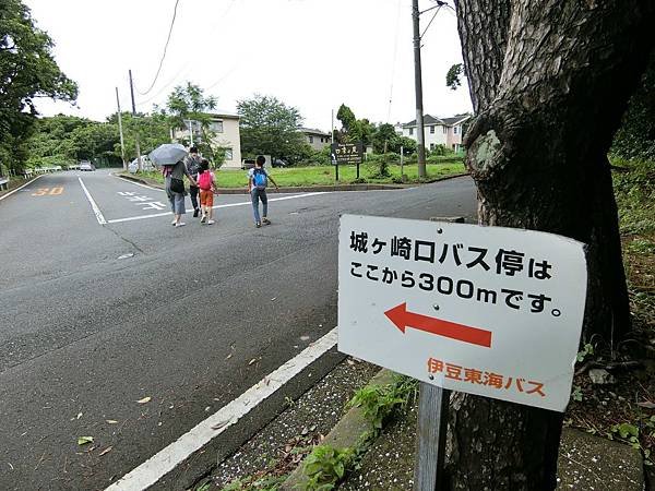 ＊2019年夏＊日本靜岡+東京親子遊Day7~伊豆高原一日遊