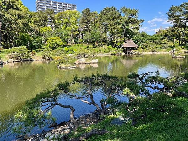 LINE_ALBUM_20240503廣島_240531_44