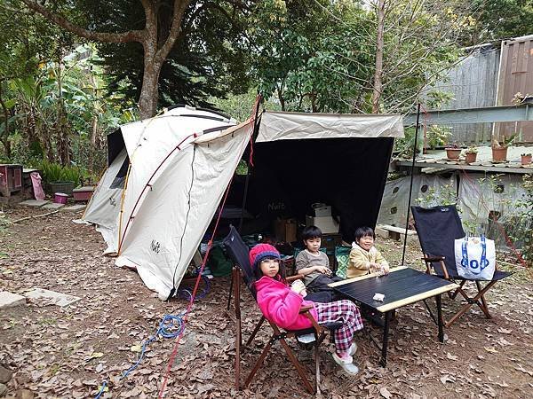 雙梅家第4露～苗栗南庄松濤意境，森林感～階梯式營位有被樹們包
